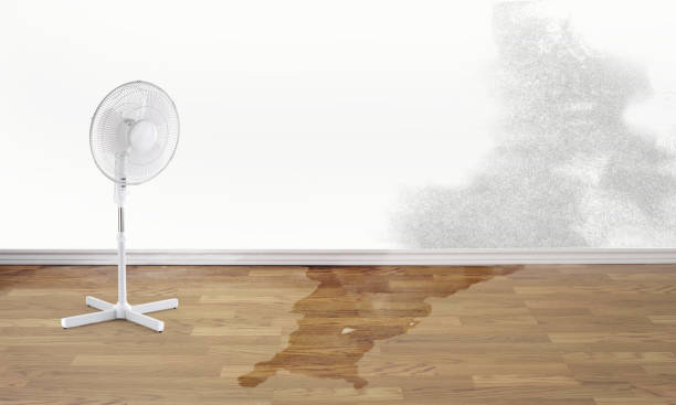 Best Flooded house restoration  in New Baden, IL