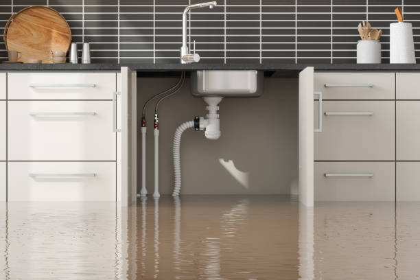 Best Basement water damage restoration  in New Baden, IL