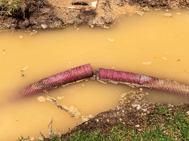 Best Sewage cleanup and water damage restoration  in New Baden, IL