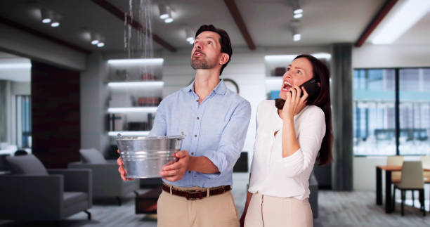Best Water damage cleanup near me  in New Baden, IL