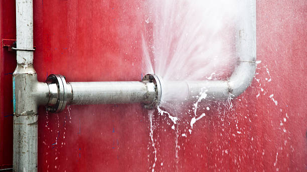 Best Carpet water damage restoration  in New Baden, IL